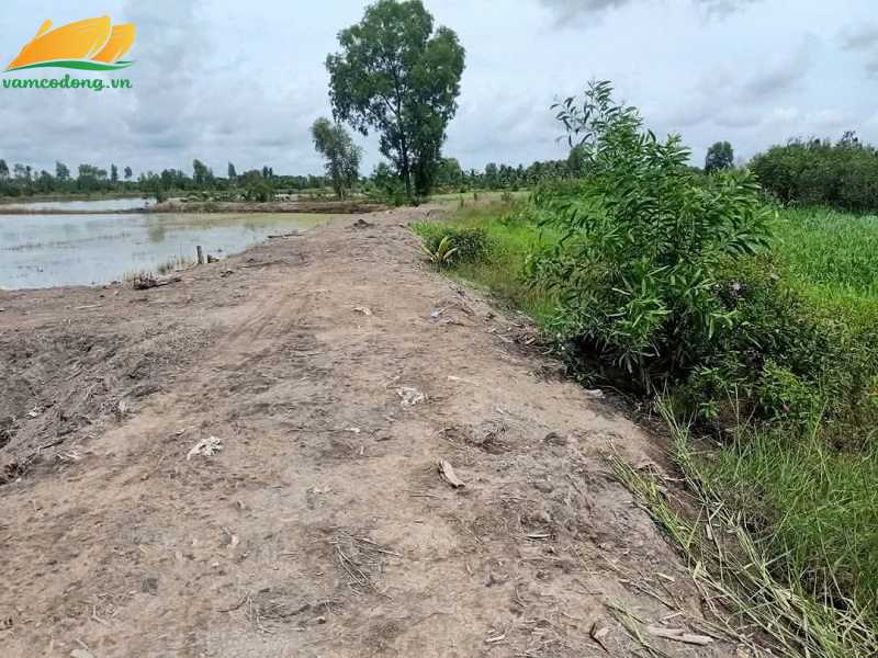 27.395.01 4008m2 đất lúa MT kênh Bình Hòa Nam